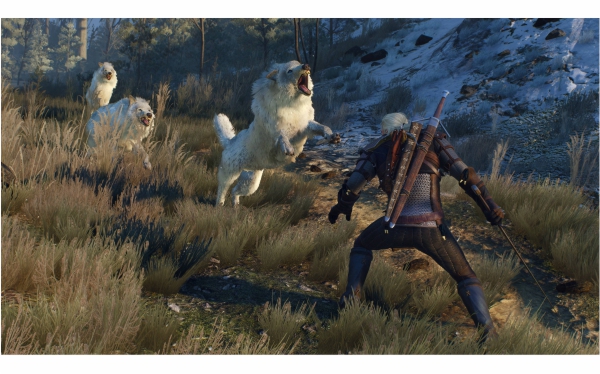 PS4 The Witcher 3: Wild Hunt CZ